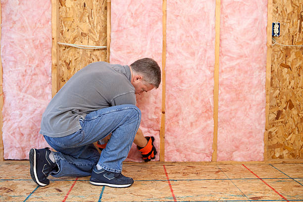 Best Residential Insulation in Auburn, CA