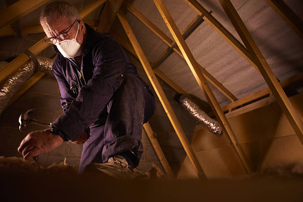 Types of Insulation We Offer in Auburn, CA